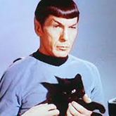 Selection for 'Spock'. Image of Leonard Nimoy as Spock. 